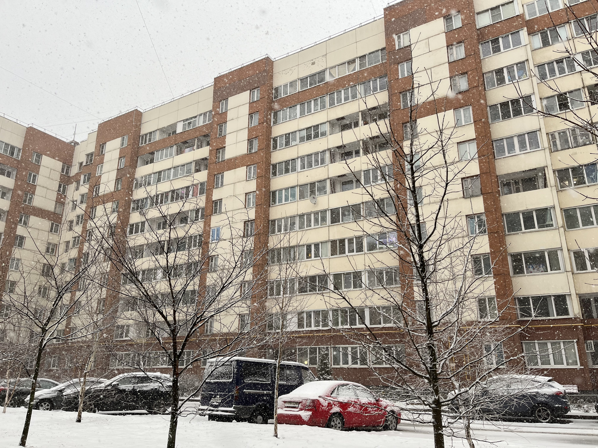 Купить Студию В Ленсоветовском Спб