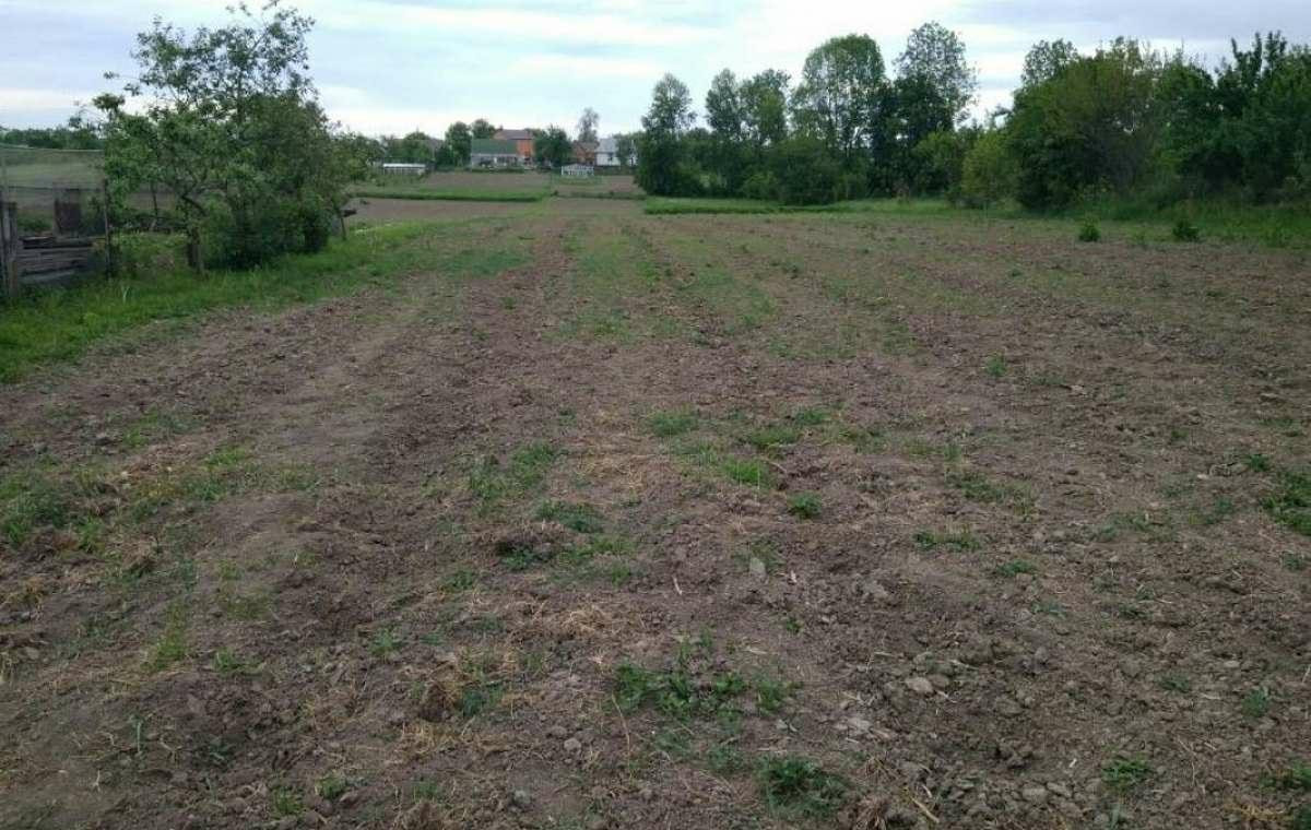 Земельный пай кадастровая стоимость. 10 соток под ижс. Сколько стоит 1 га земли. Как выглядит кадастровый номер земельного участка. За сколько можно продать землю.