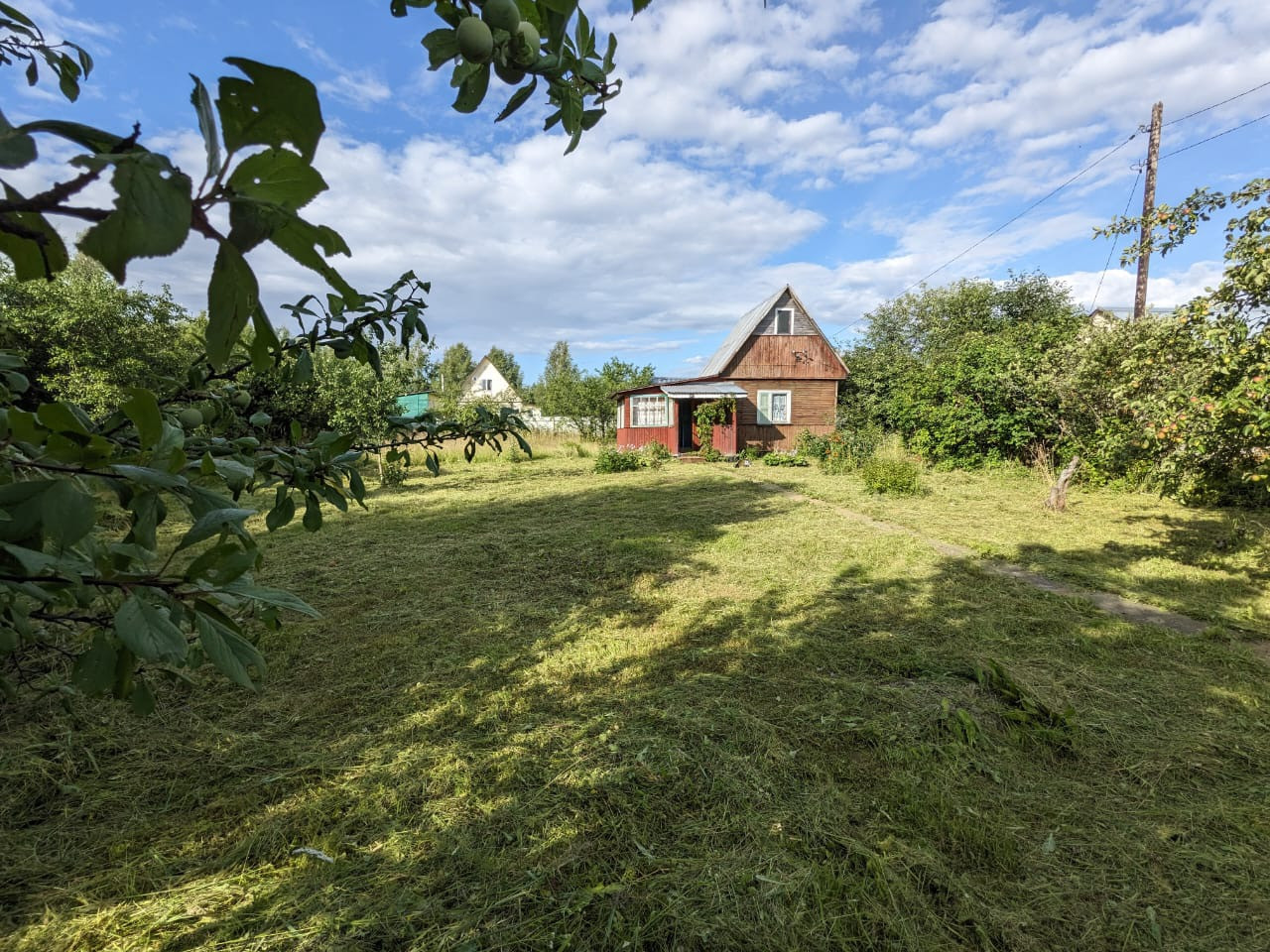 Купить Дачу В Шаховской Недорого От Собственника