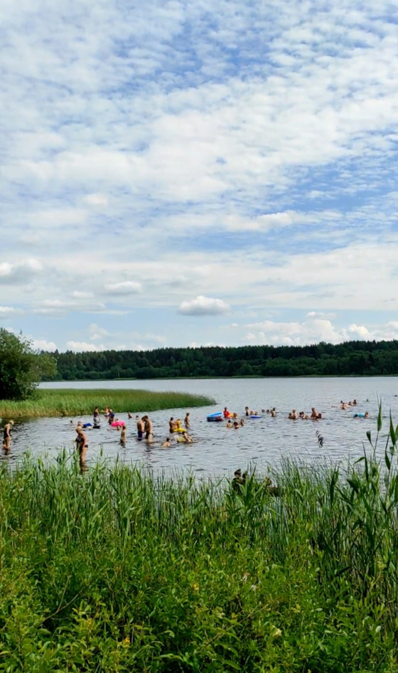 Электрогорск озеро 4. Товарищество озеро. Товарищество озеро. Товарищество озеро. Товарищество озеро.