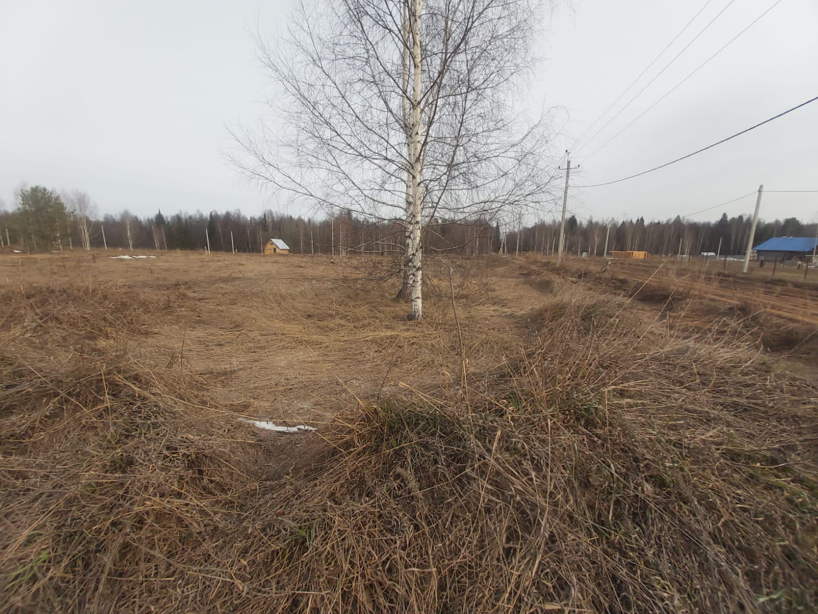 починок мирный. починок мирный удмуртия. починки мирный. березов починок сокольский район деревня. п.