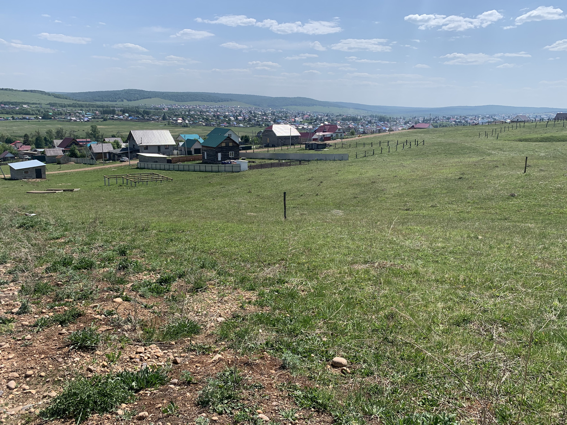 Ташла гафурийский