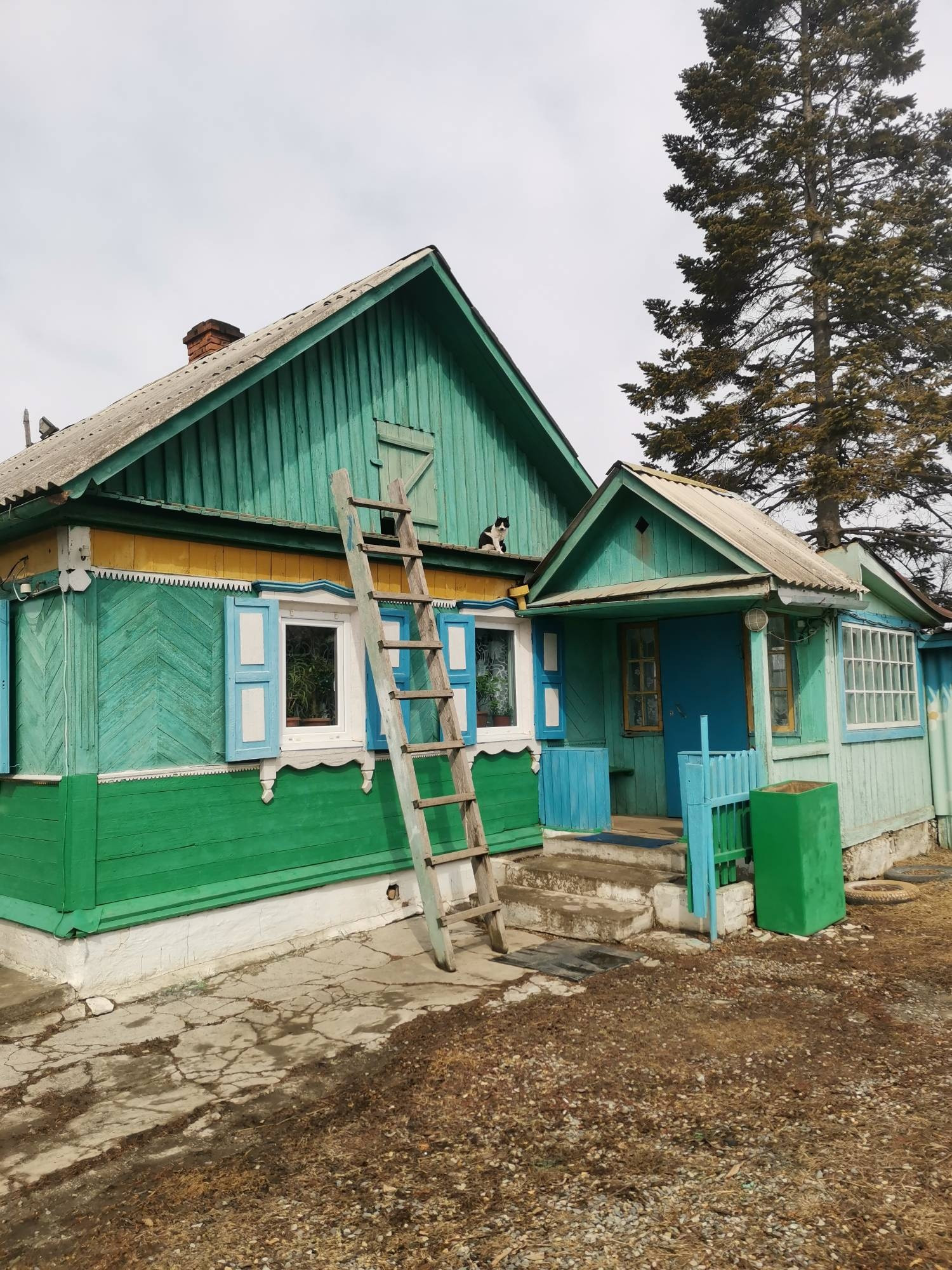 Купить дом, 31.9 м² по адресу Приморский край, городской округ Большой  Камень, село Петровка, Ленинская улица, 64 за 3 700 000 руб. в Домклик —  поиск, проверка, безопасная сделка с жильем в офисе Сбербанка.