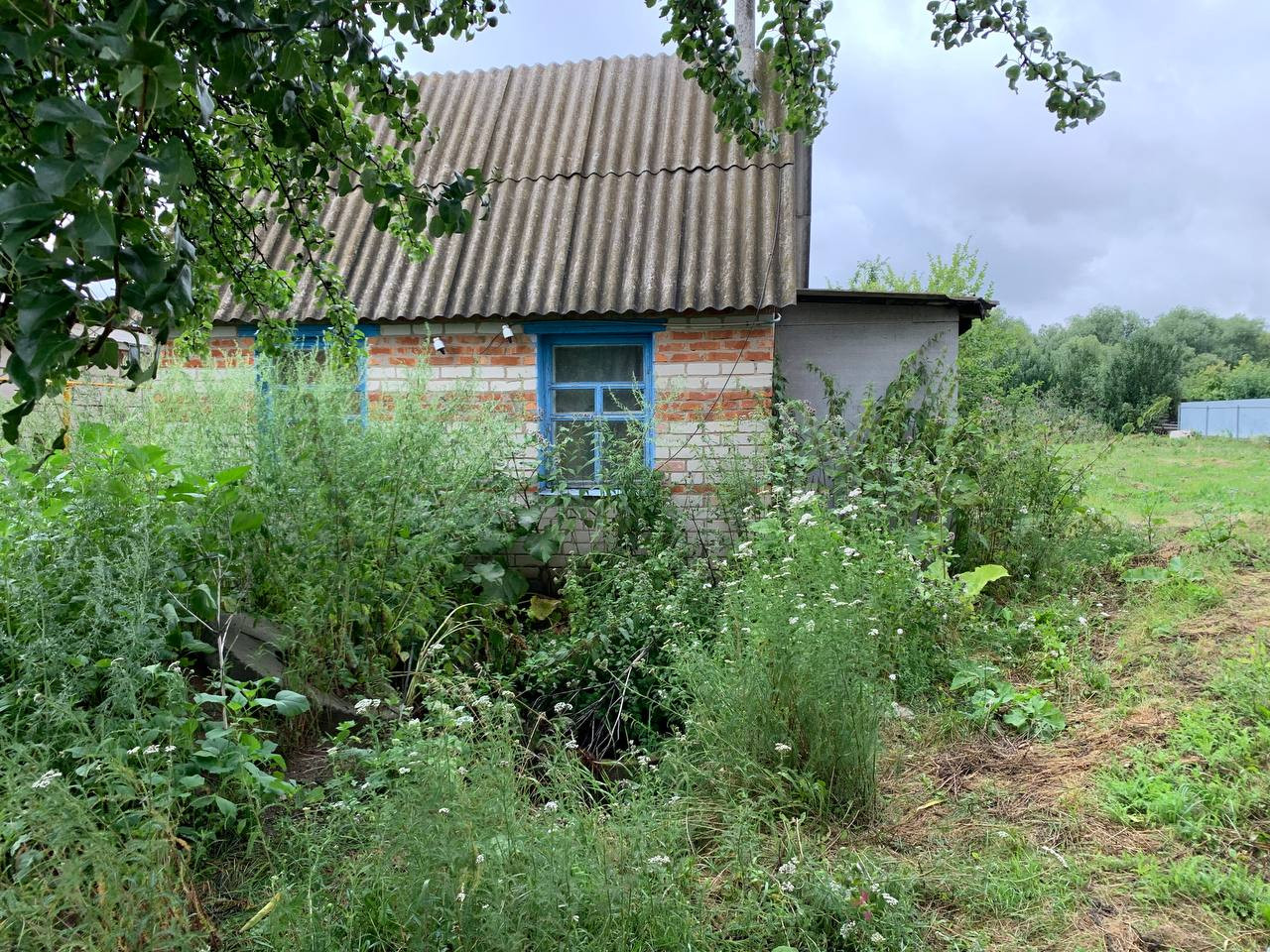 Купить дом в хава воронежская область. , Село верхняя Хава, улица будённого, 4. Верхняя Хава ул Буденного фото. Нижняя Байгора Верхнехавский р-он фотографии. Село верхняя Хава купить дом.