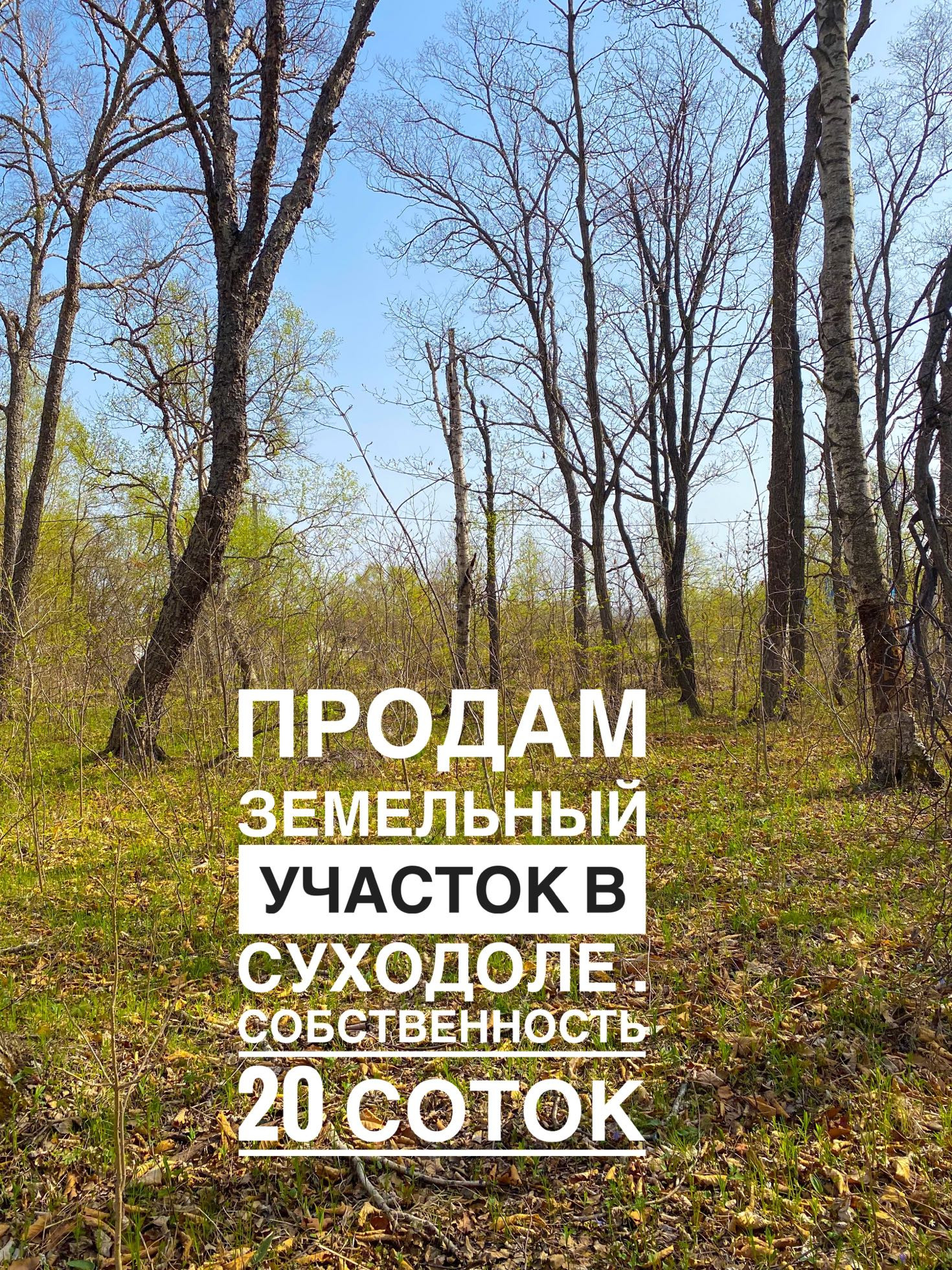 Купить участок, 20 сот., Фермерский по адресу Приморский край, городской  округ Большой Камень за 950 000 руб. в Домклик — поиск, проверка,  безопасная сделка с жильем в офисе Сбербанка.