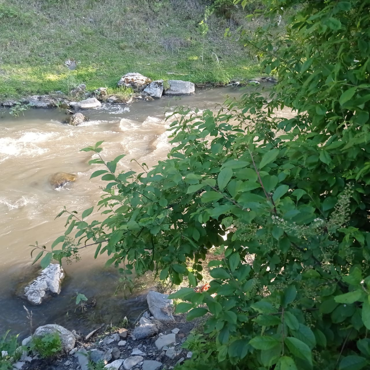 Село Узнезя Чемальский район Алтай