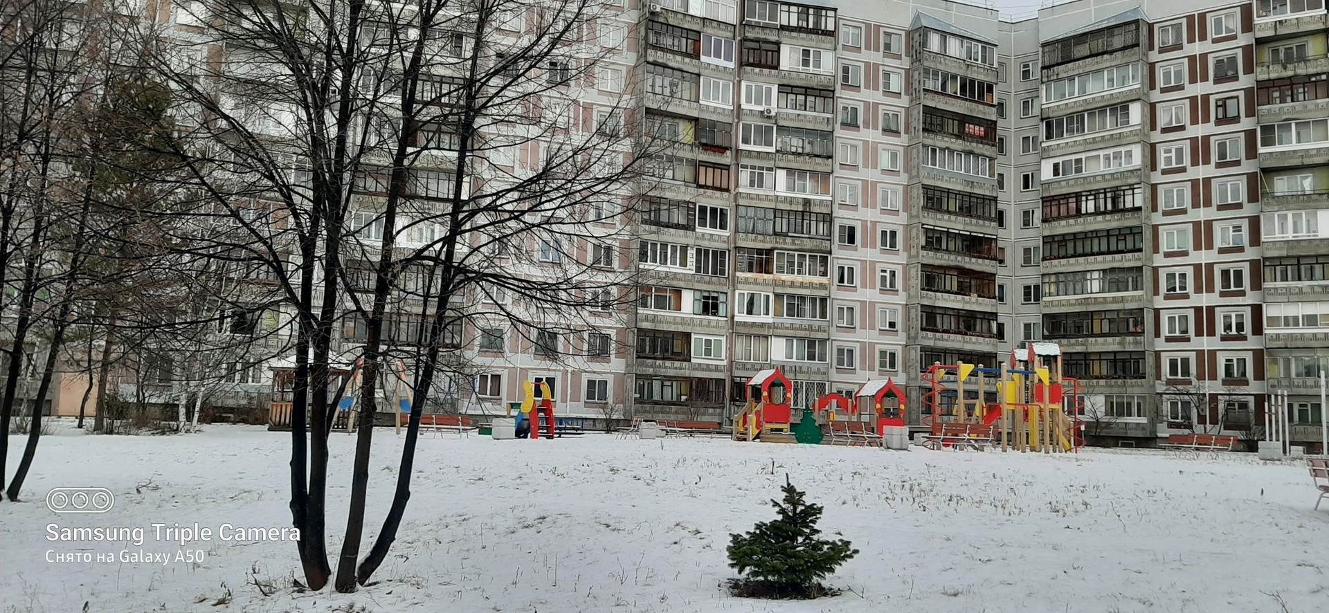 Снять квартиру в нижней ельцовке. Новосибирск ул лесосечная 8. Высотная 23 красноярск. Однокомнатная квартира 28 кв м фото. Лесосечная новосибирск подъезд.