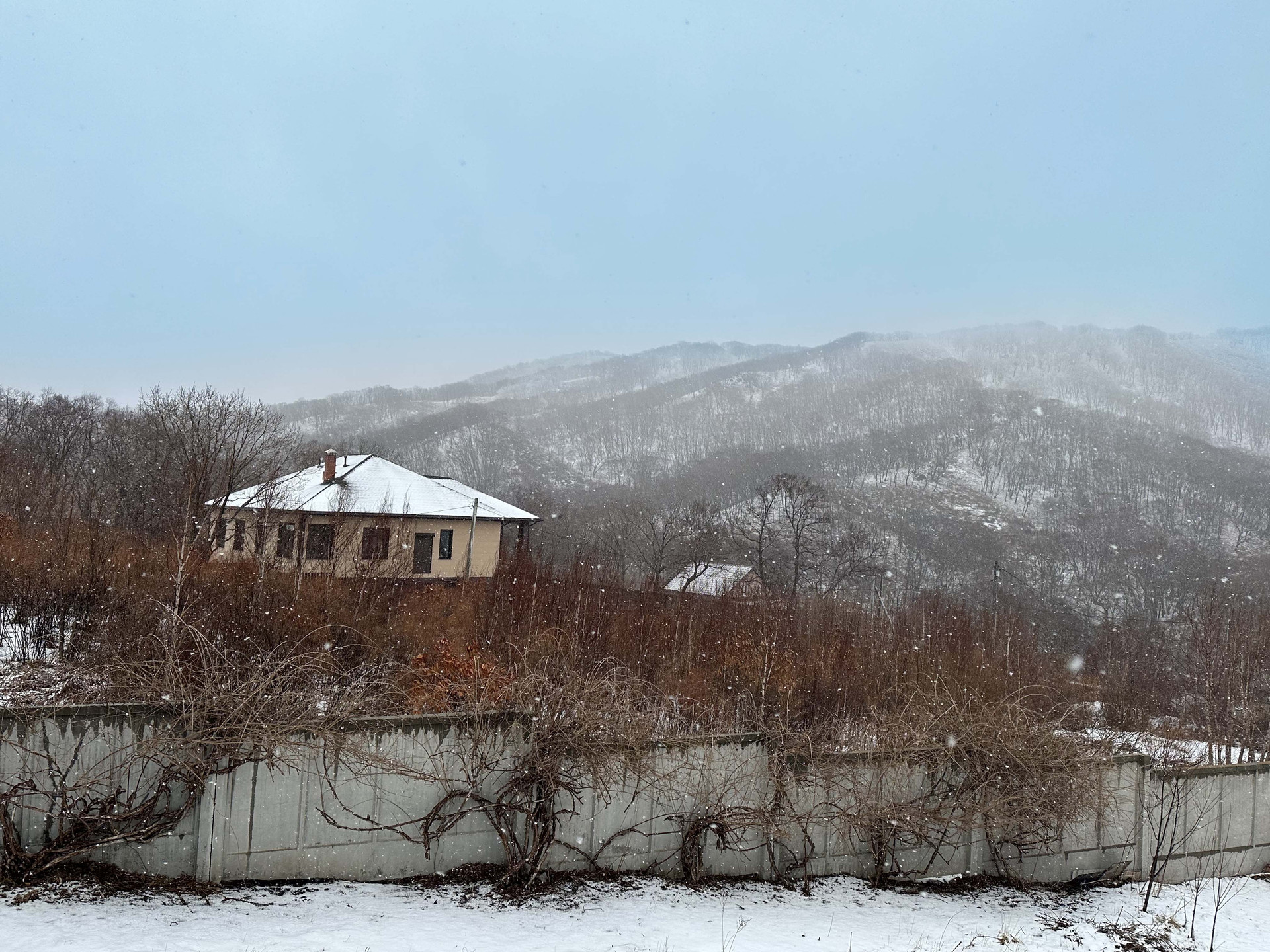 Купить участок, 20 сот., ИЖС по адресу Приморский край, Находка, Посёлок  Врангель, Лесная улица, 7 за 1 600 000 руб. в Домклик — поиск, проверка,  безопасная сделка с жильем в офисе Сбербанка.