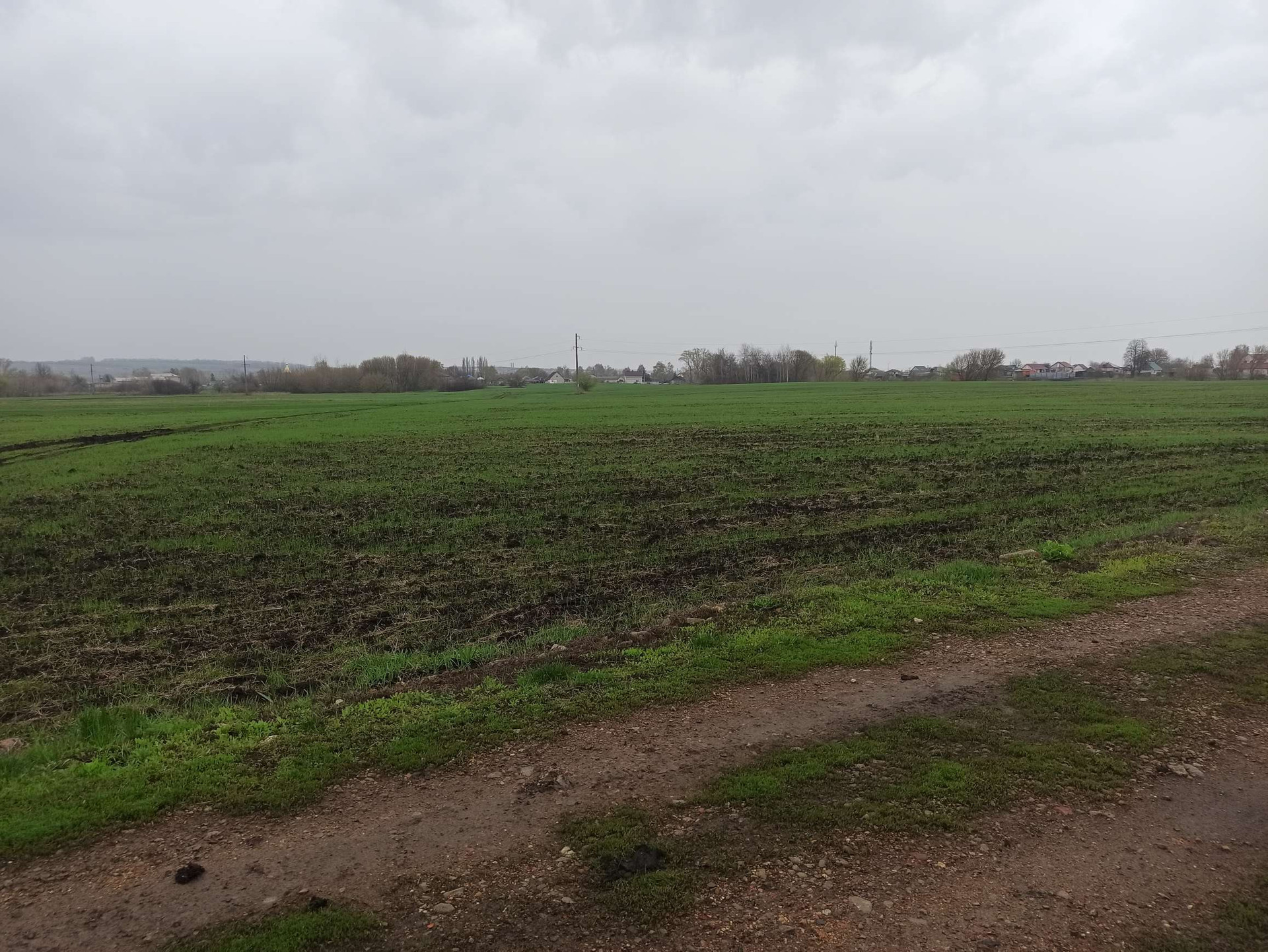 Алексеевка ильинка. Село Ильинка Белгородская область. Село Ильинка Тюменская область. Алексеенково.