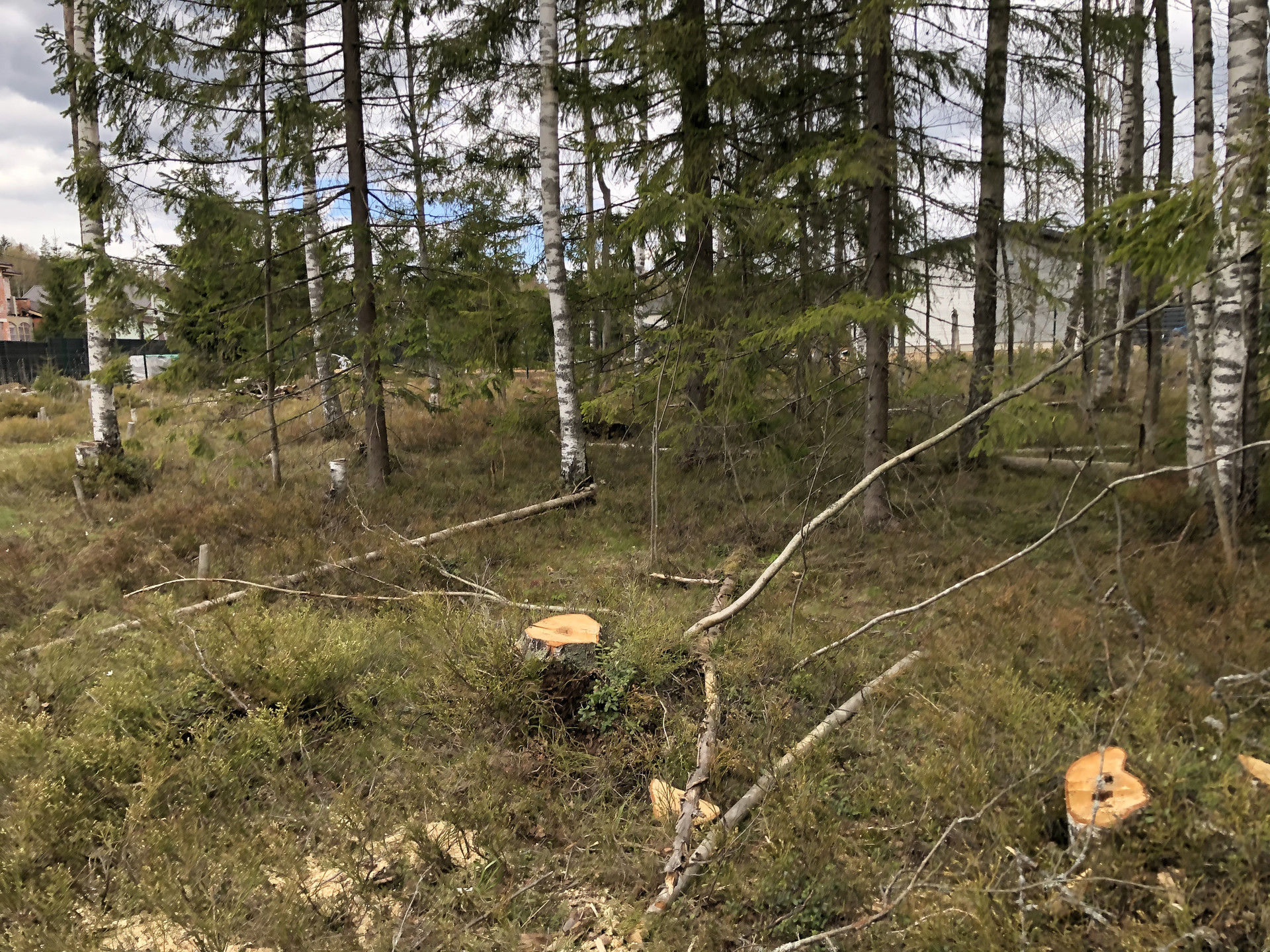 Купить Дом В Агалатово Ленинградской Области Ижс