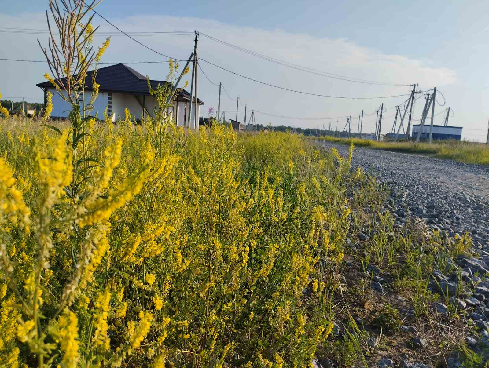 Купить В Тюменской Области