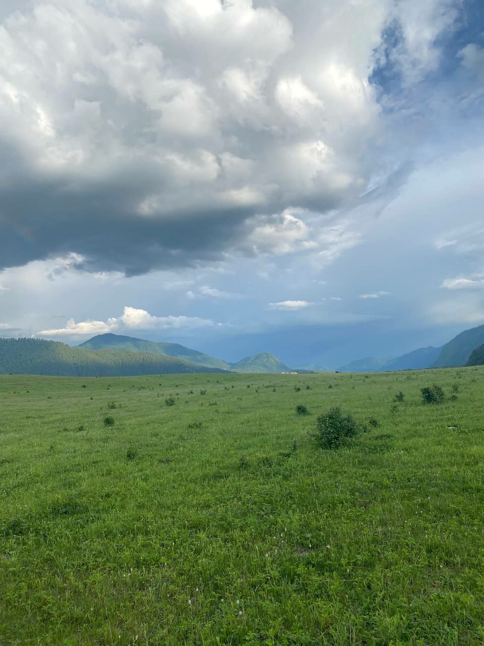 Мульта Село Фото