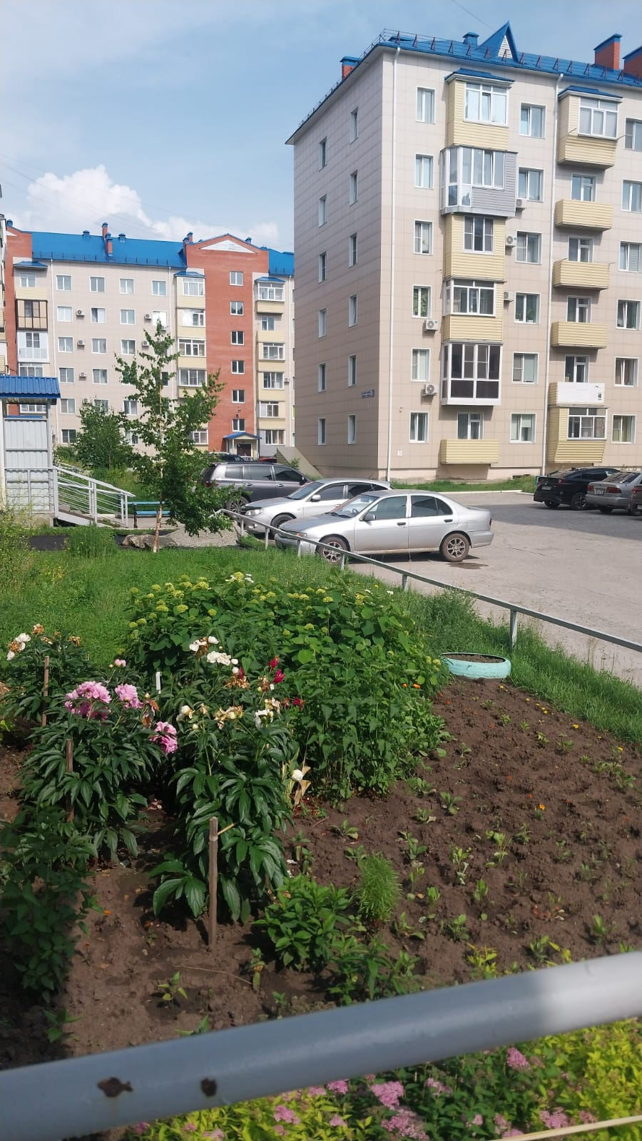 Купить студию, 31 м² по адресу Алтайский край, Бийск, улица Емельяна  Пугачёва, 15, 4 этаж за 3 150 000 руб. в Домклик — поиск, проверка,  безопасная сделка с жильем в офисе Сбербанка.