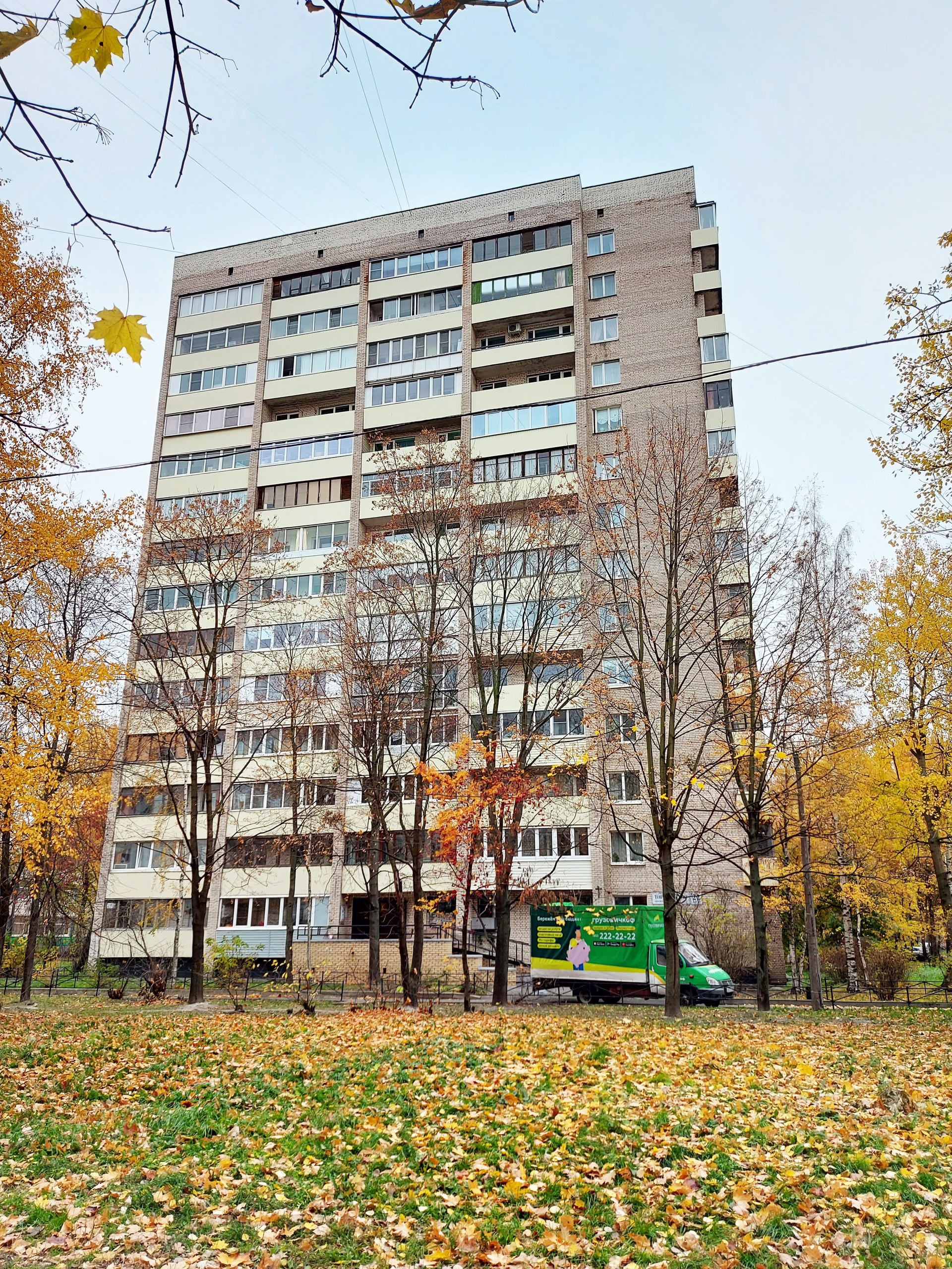 товарищеский проспект санкт петербург