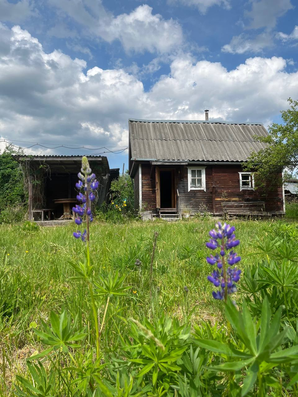 Кировский массив