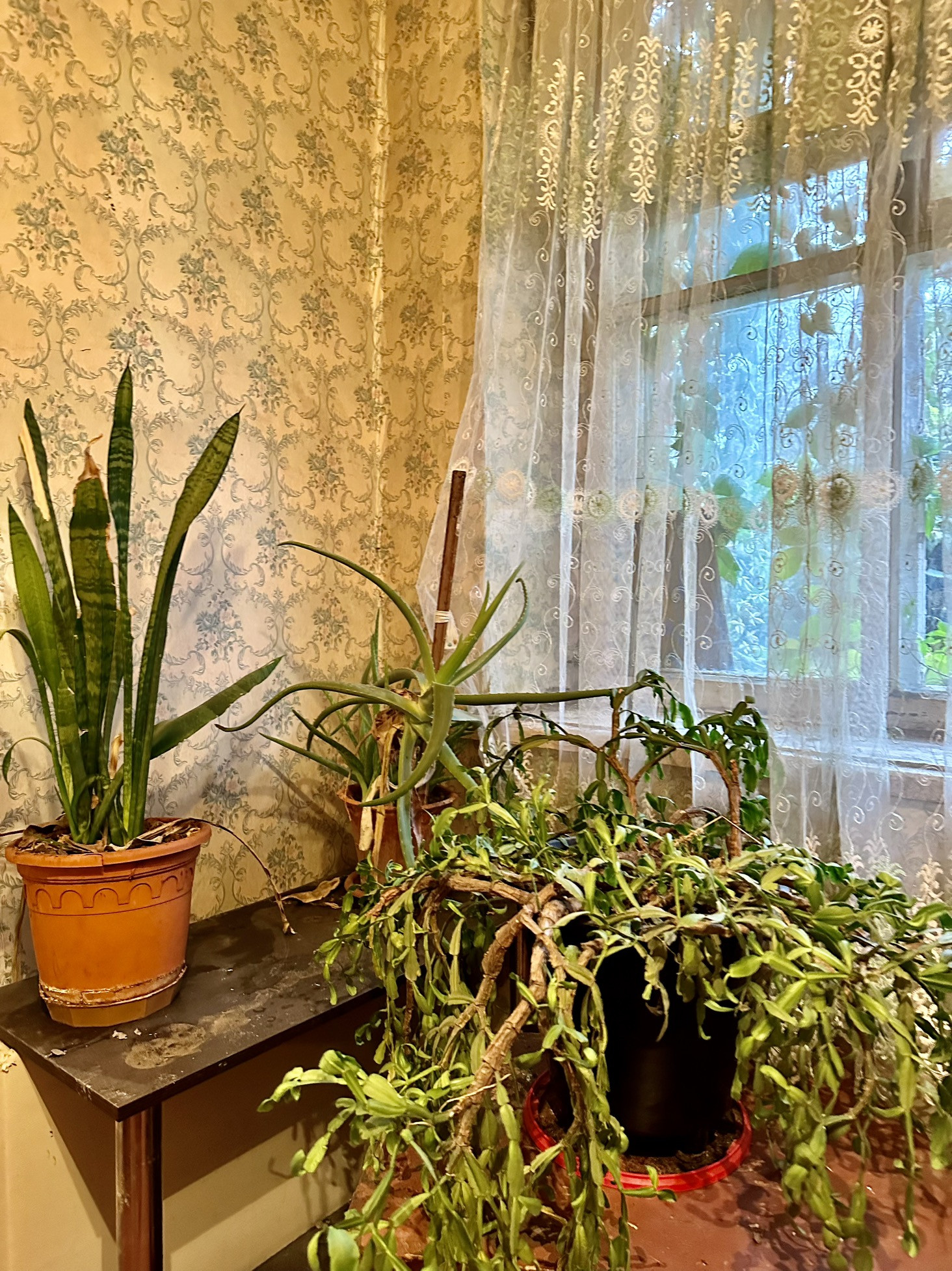 Купить Дом В Батайске Вторичное Жилье