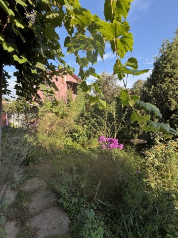 Фото Дом, Полевая улица, 13, 29