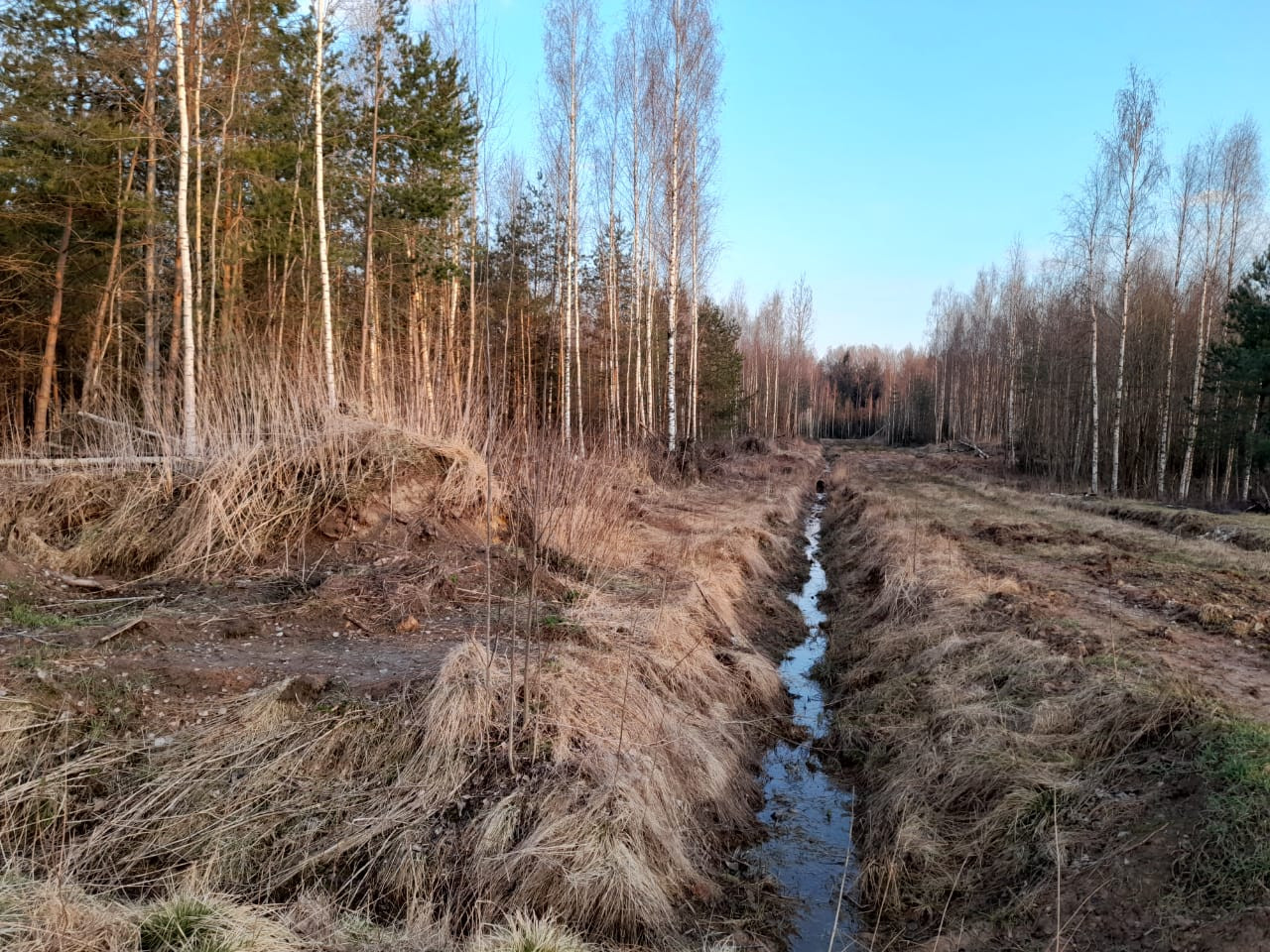 Купить Участок Новгородская Обл