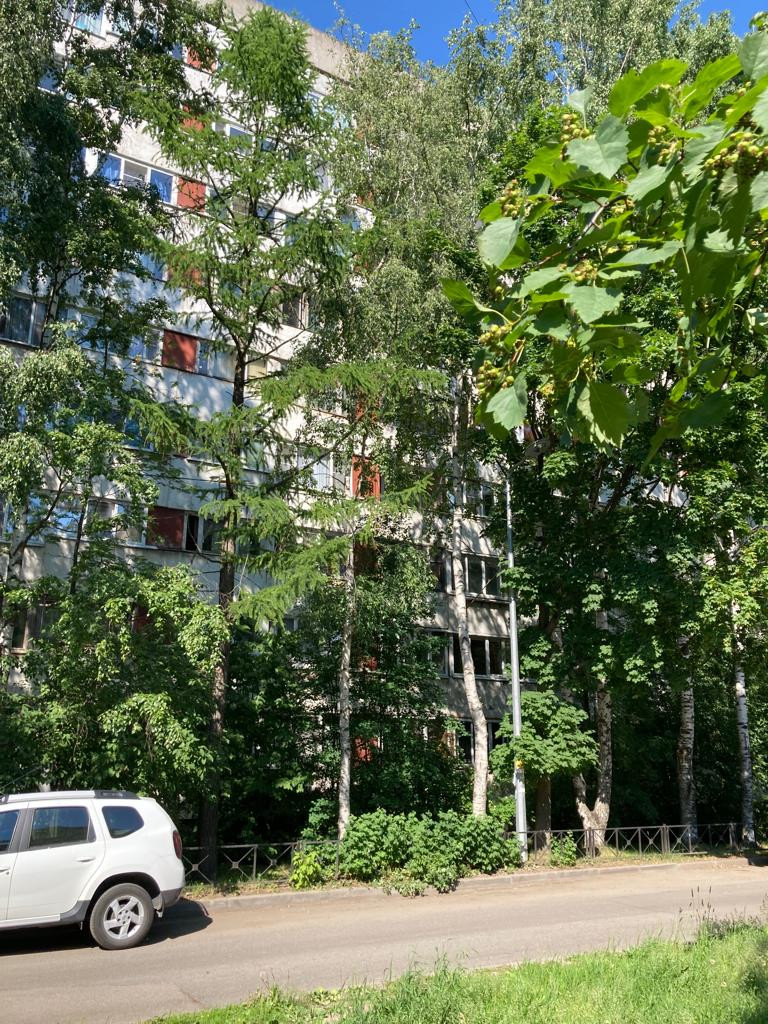 Чери придорожная аллея