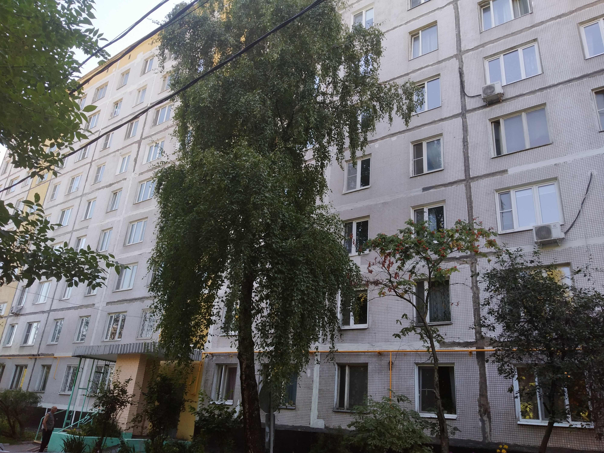 Восток запад логистика. Восточный главная 1. Аграрная 52 казань. Главная ул 29. Восточный рай.