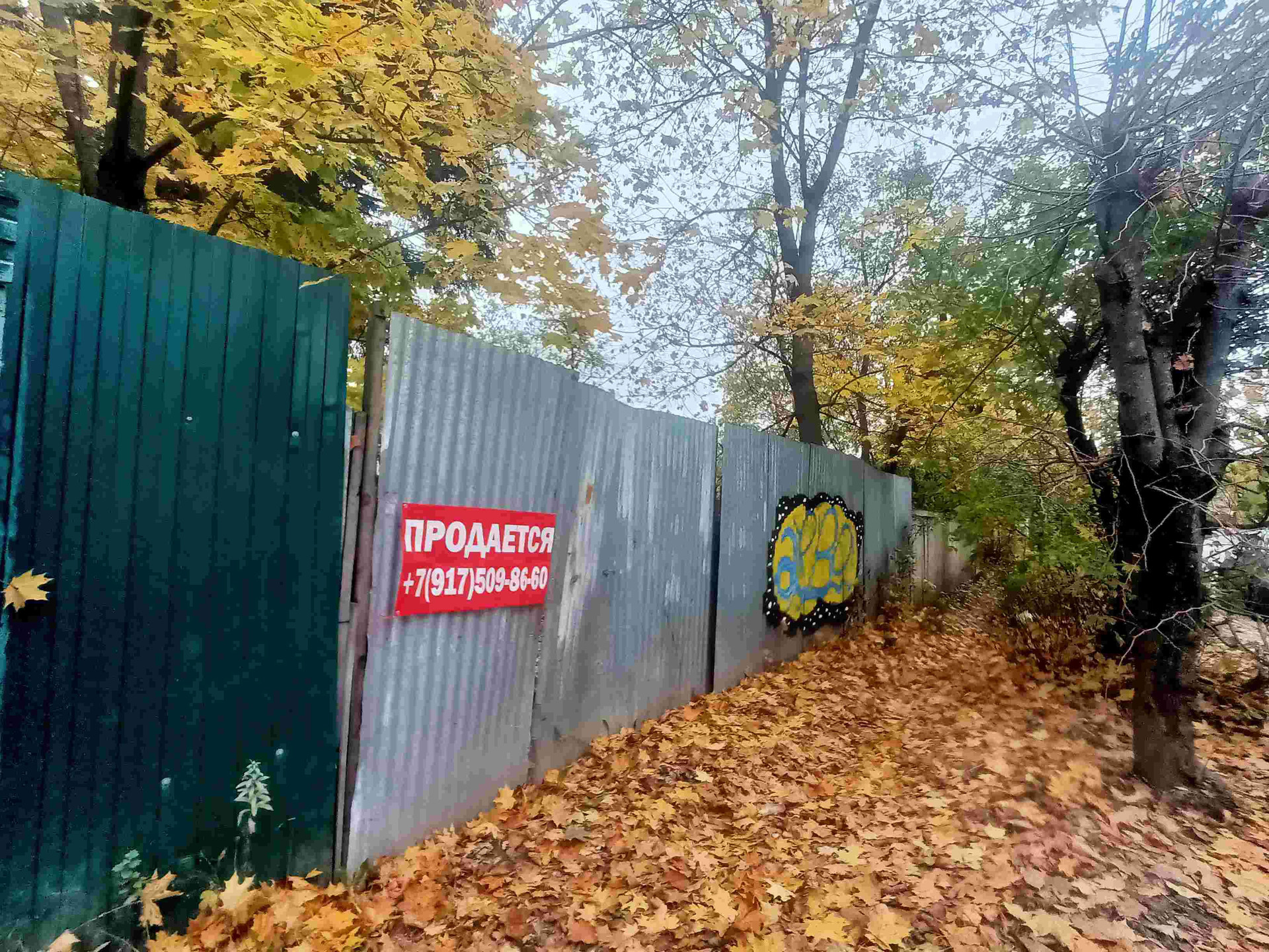 Куплю Участок В Королеве Недорого