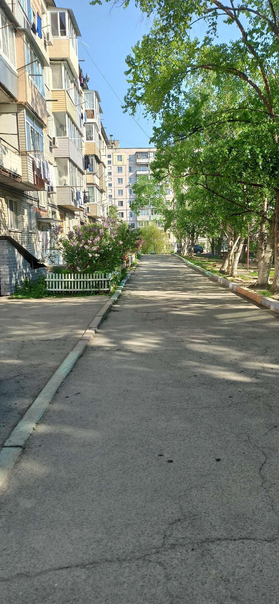 Купить 3-комнатную квартиру, 51.6 м² по адресу Приморский край,  Владивостокский городской округ, посёлок Трудовое, улица Лермонтова, 77/1,  5 этаж за 5 800 000 руб. в Домклик — поиск, проверка, безопасная сделка с  жильем в офисе Сбербанка.