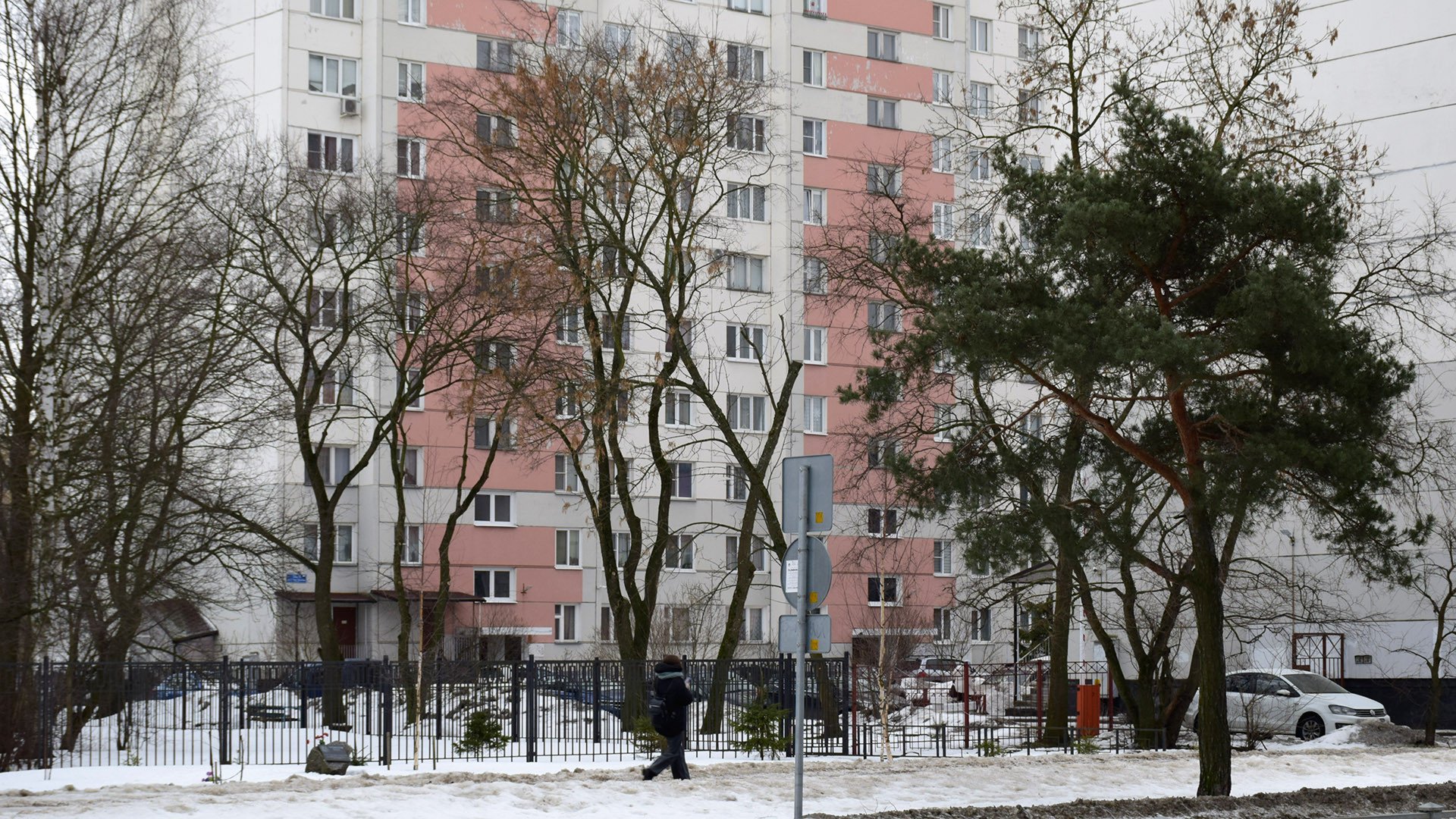 Санкт петербург ул летчика пилютова фото