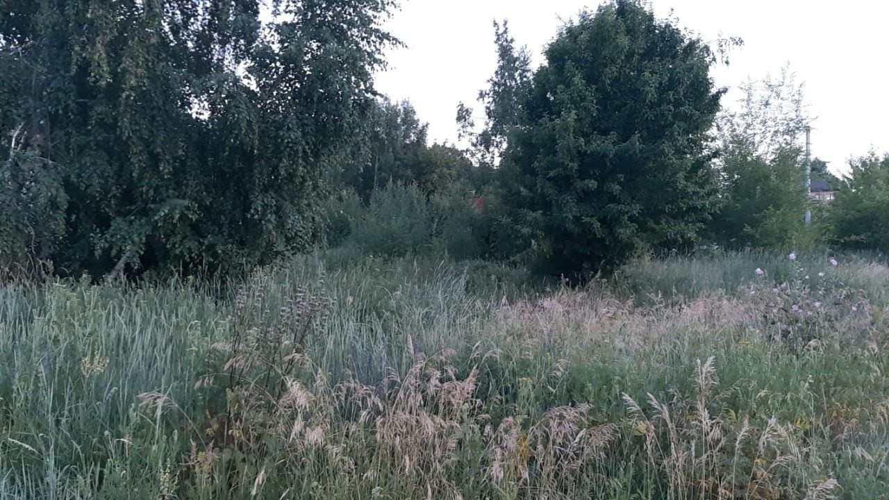 Полянка елшанка. Полянка елшанка