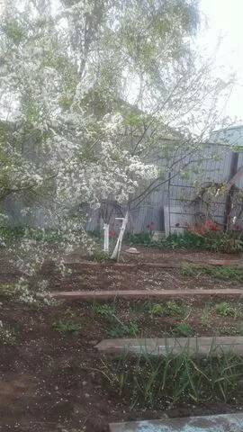 Купить дом, 59 м² по адресу Смоленск, улица Скворцова за 5 000 000 руб ...