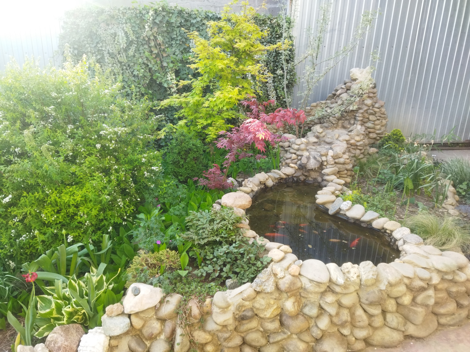 Краснодарский Край Село Динская Купить Дом