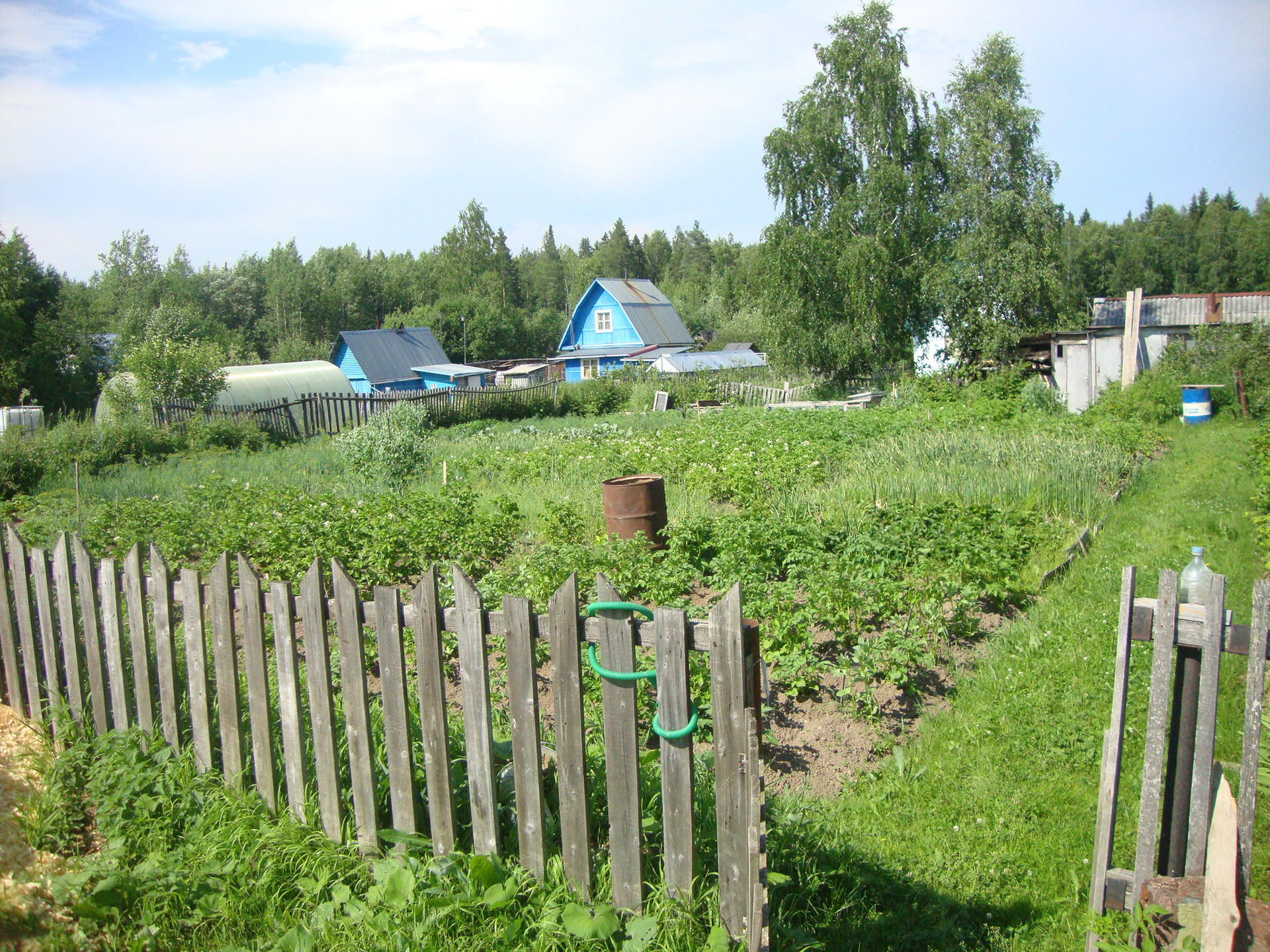 Купить участок, 6 сот., Садовый по адресу Республика Коми, городской округ  Сыктывкар, территория Эжвинский, СНТ Черёмушки за 117 000 руб. в Домклик —  поиск, проверка, безопасная сделка с жильем в офисе Сбербанка.