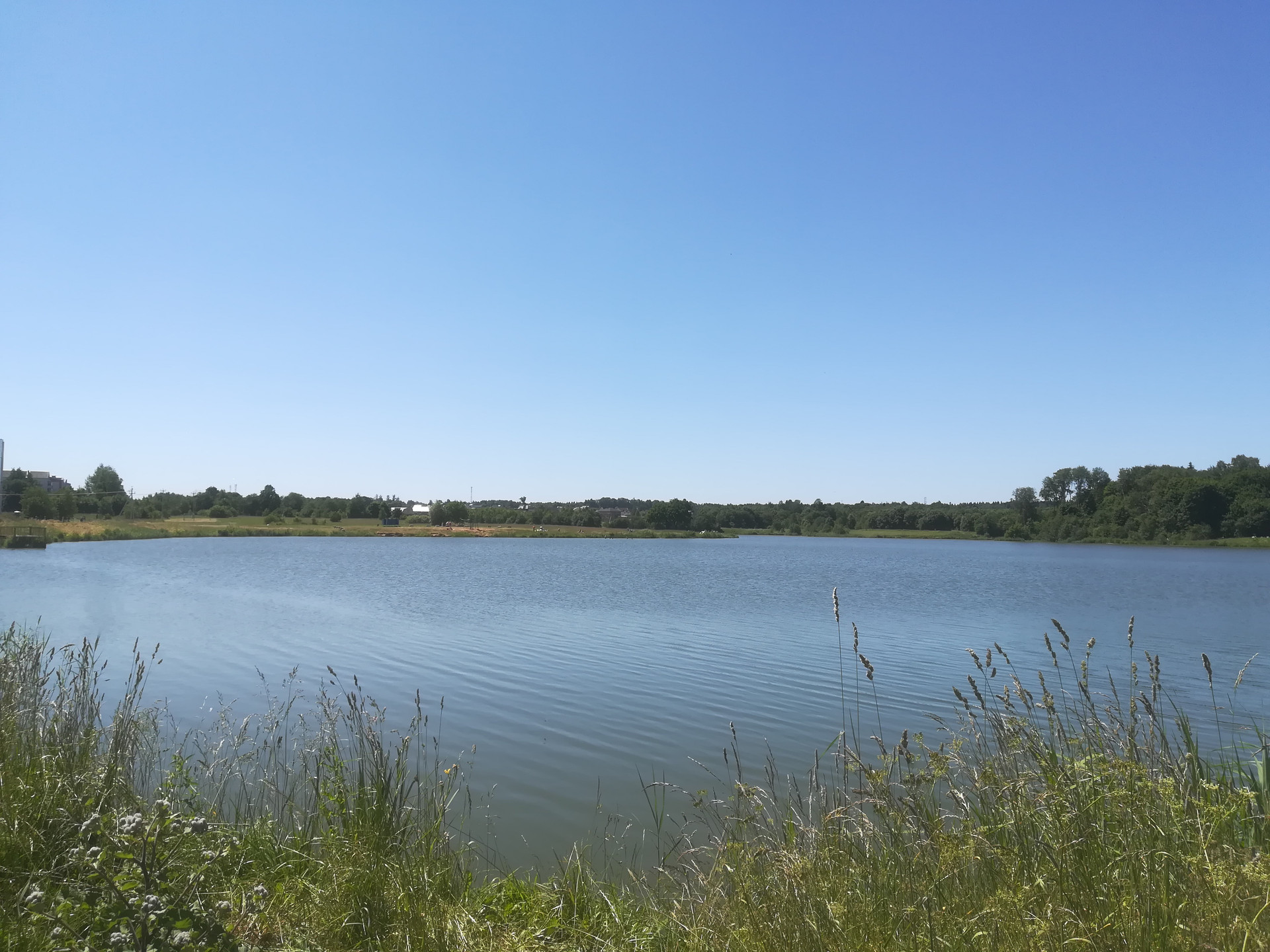 Рыбушки Истринский Район Участок Купить