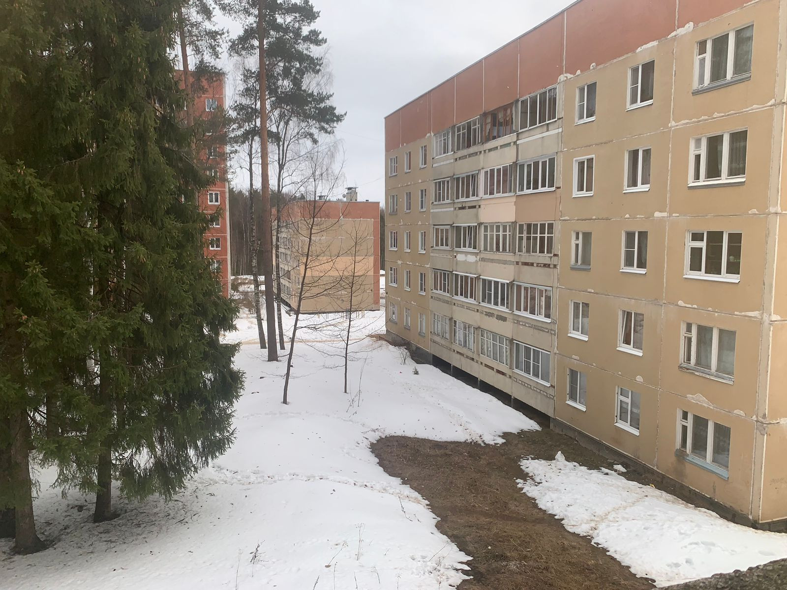 Квартиры чистые боры
