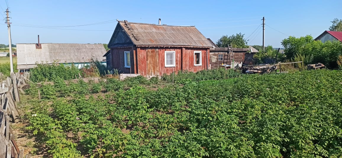 Село Топчиха Алтайский Край Купить Дом