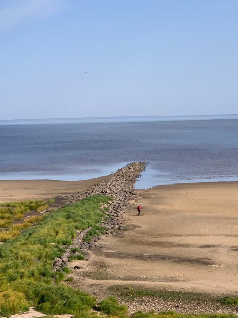 Купить Квартиру В Заклинье Лужского Района