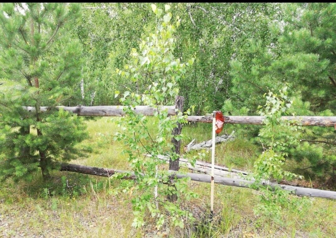 Купить участок, 10 сот. по адресу Курганская область, Кетовский  муниципальный округ, село Колташево, микрорайон Солнечный за 350 000 руб. в  Домклик — поиск, проверка, безопасная сделка с жильем в офисе Сбербанка.