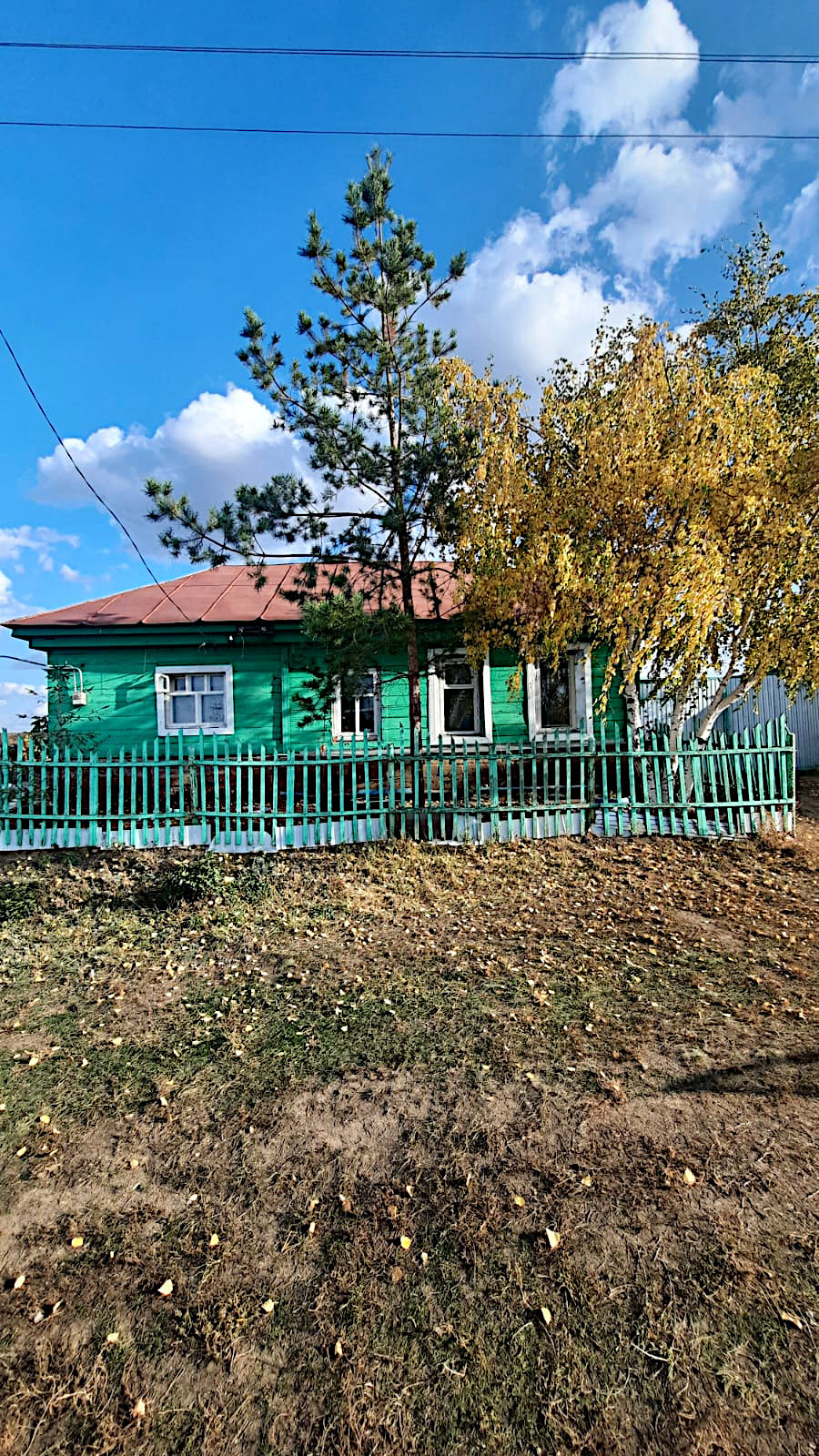 Тоцкое погромное. Тоцкое погромное