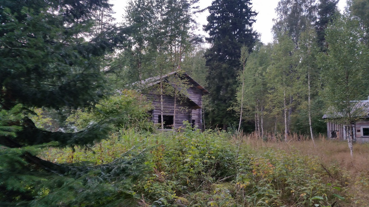 Полянское сельское. Выборг поселок Каменка. ДНТ Каменка Выборгский район Киперорт. Каменка дом 77, Выборгский район. ДНП Приморское Выборгский район.