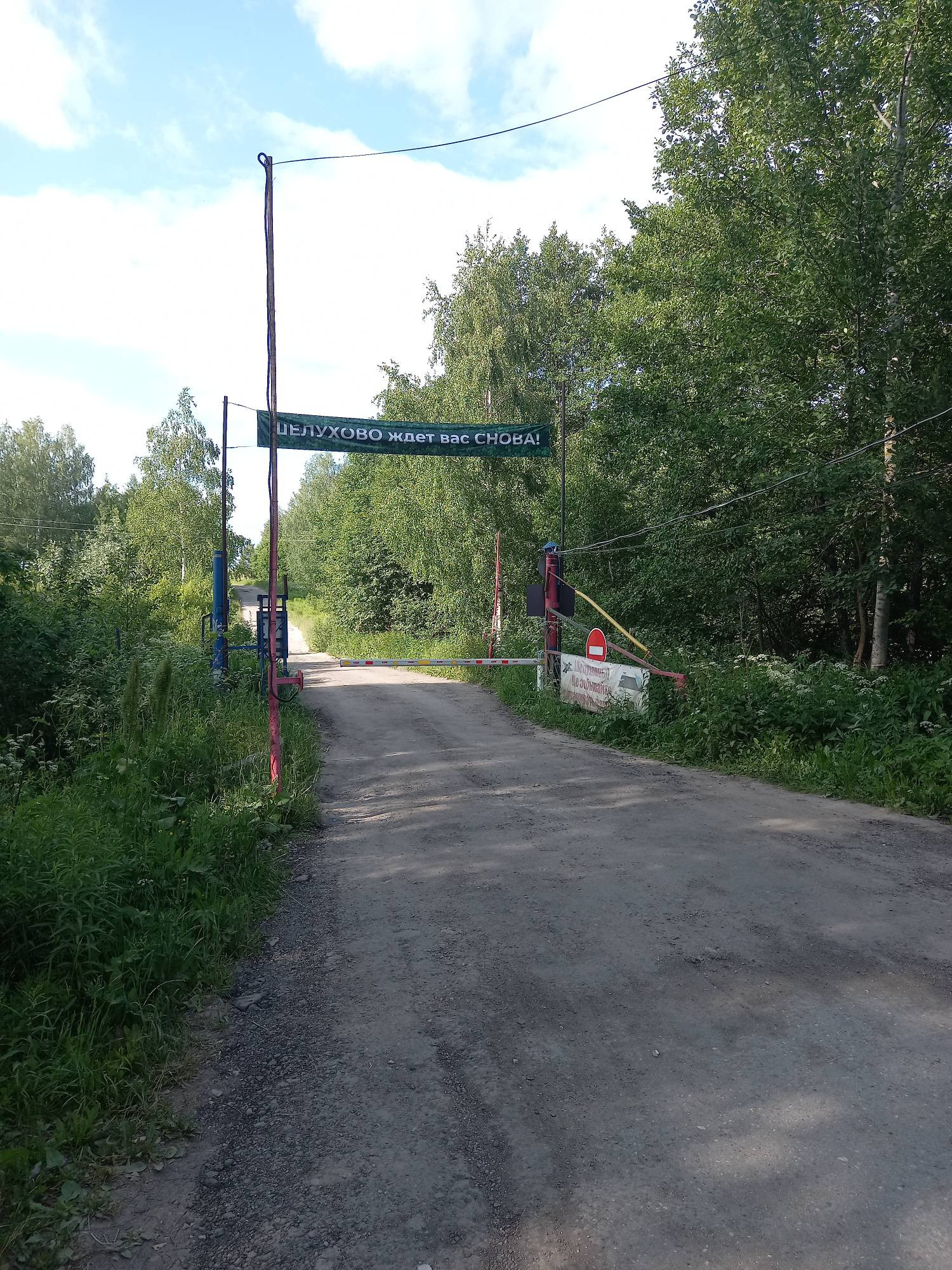 СНТ Шелухово Нижегородская область Богородский. СНТ Ягодное Нижегородская область Богородский район. СНТ Шелухово фото.