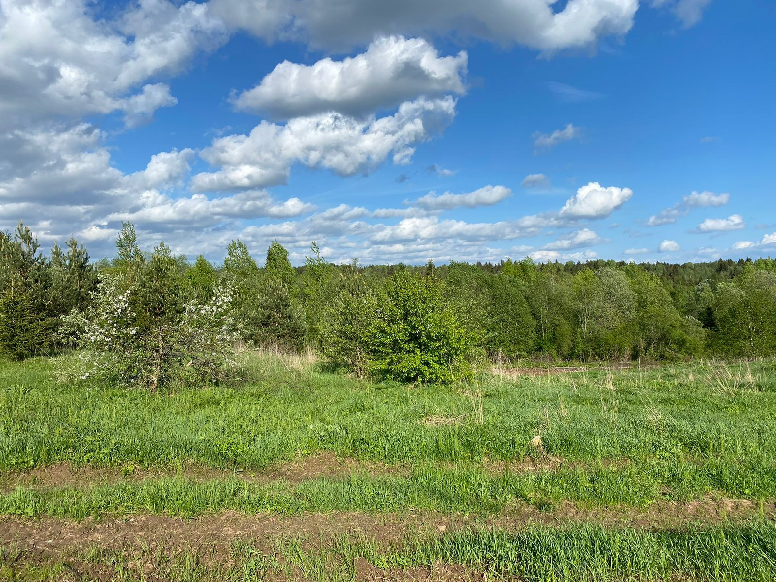 Новгородская Область Купить Участок Ижс