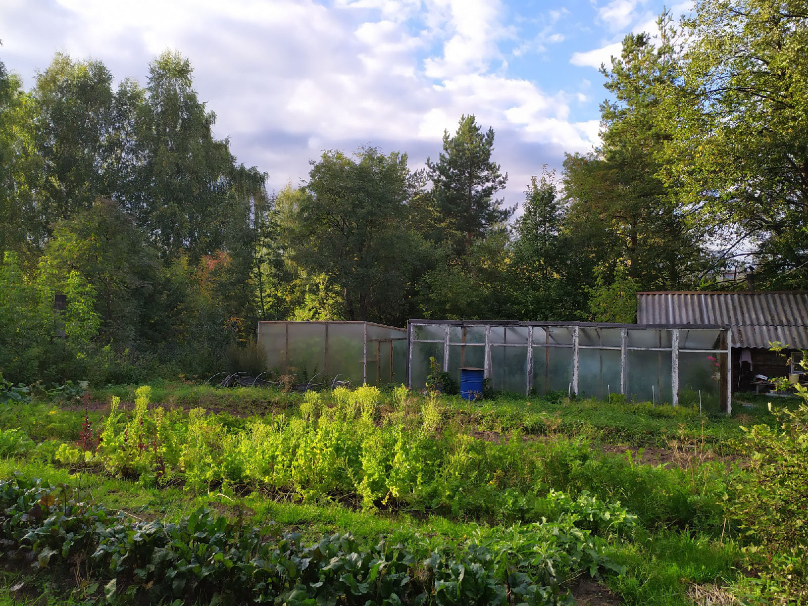 Купить Дом В Шеманихе Нижегородской