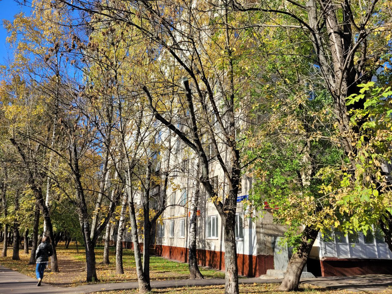 Купить 1-комнатную квартиру, 33 м² по адресу Москва, улица Фомичёвой ...