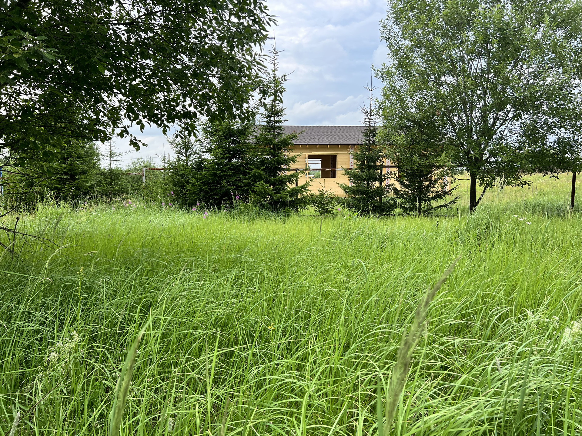 Купить Землю В Дмитровском Районе Ижс