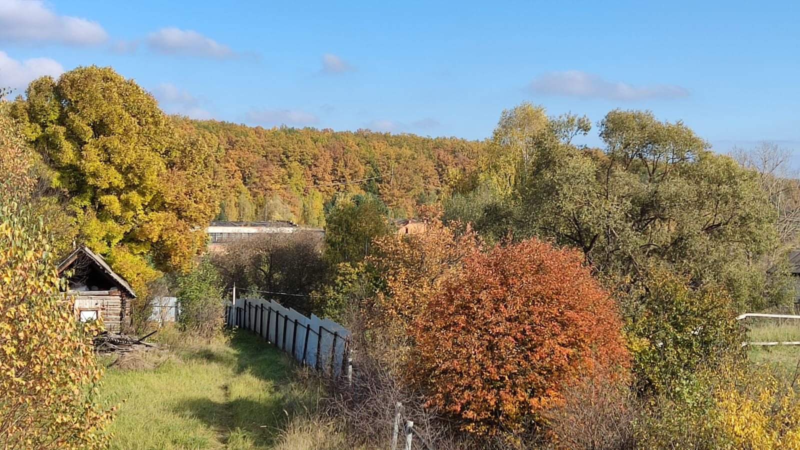 Недвижимость В Золотаревке Пензенской Области Купить