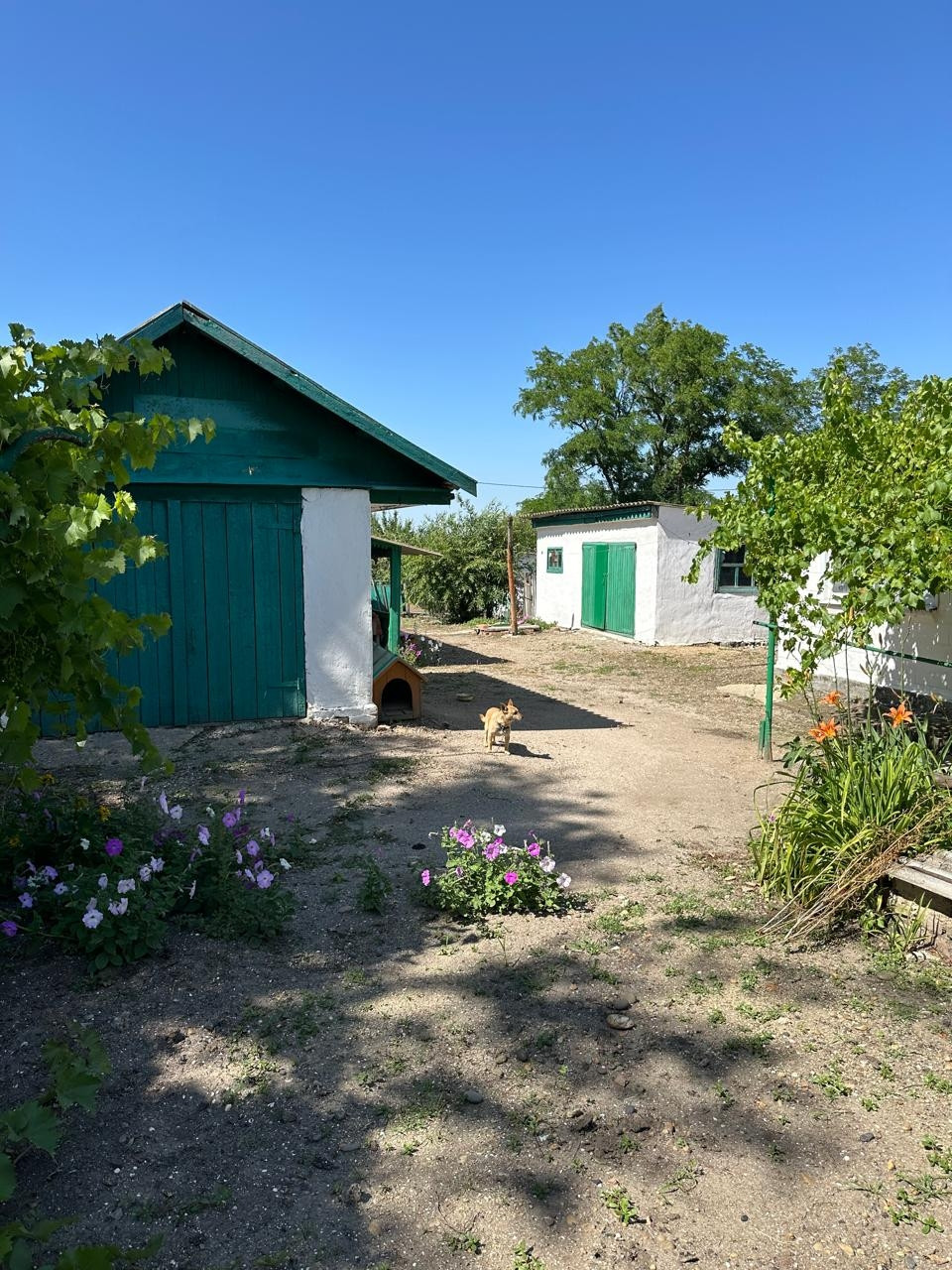 Каркасный дом в Каневской акция Каркасный дом в Каневской акция