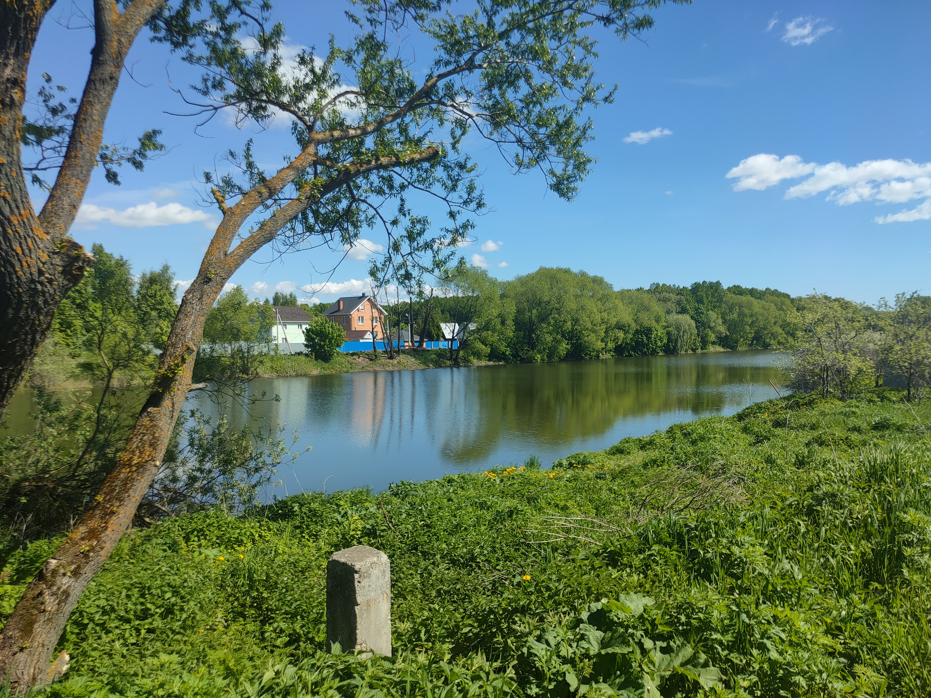 Купить участок, 7 сот., ИЖС по адресу Московская область, Раменский  городской округ, коттеджный посёлок Аргуновские дачи за 175 000 руб. в  Домклик — поиск, проверка, безопасная сделка с жильем в офисе Сбербанка.