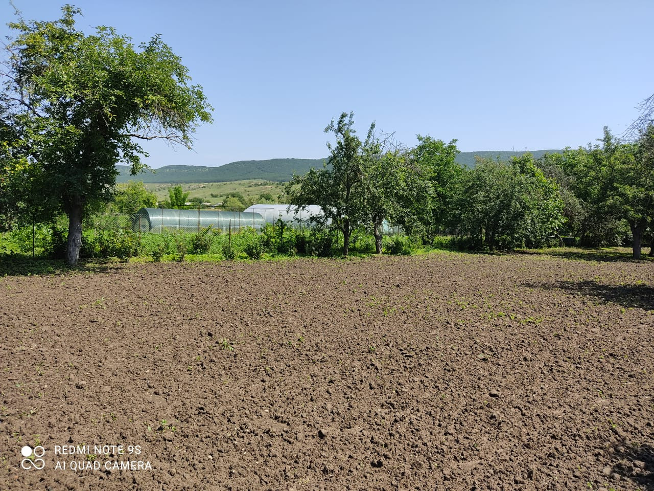 Купить Сено В Крыму Белогорский