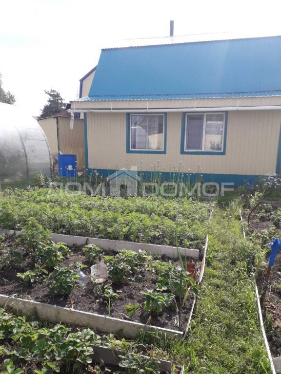 Купить Дачу В Городе Лянтор
