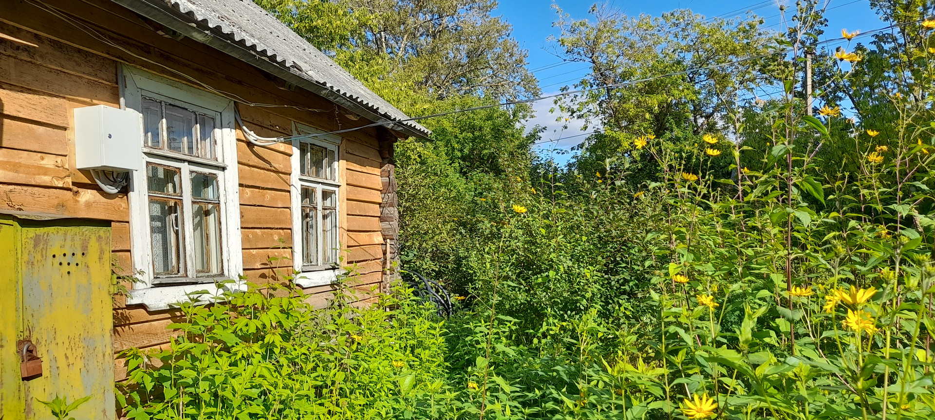 деревня ляды псковская область. дом псковская область. ленинградская. деревня заруденье плюсского района. деревня заполье ленинградская область плюсский район.