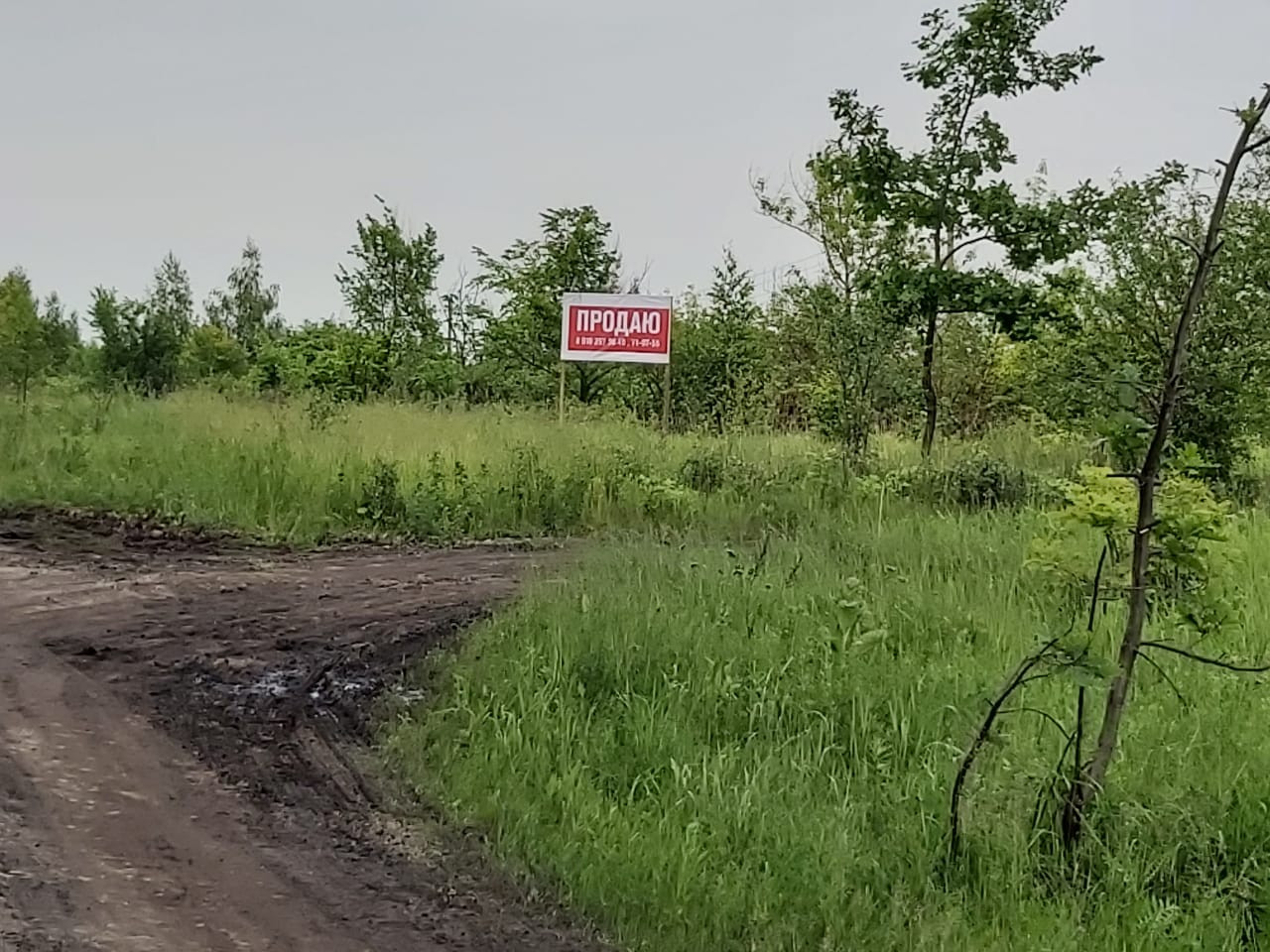 Земельные участки липецкий